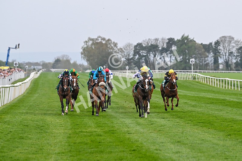 120425-Race 6-Musical Touch-1443 - Race 6