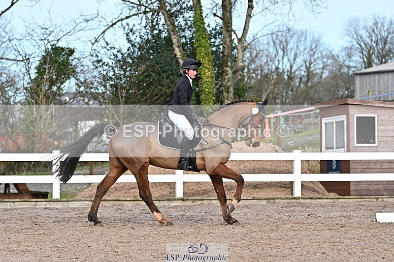 250125-125725-00522 - Dressage - CT Class 6 BE102