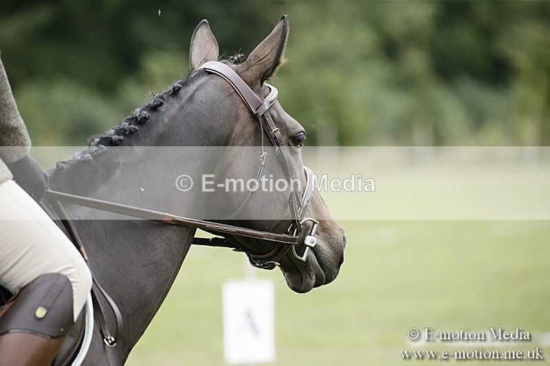 BVR080918 221 - BVRC Novice Dressage & CR 08/09/18