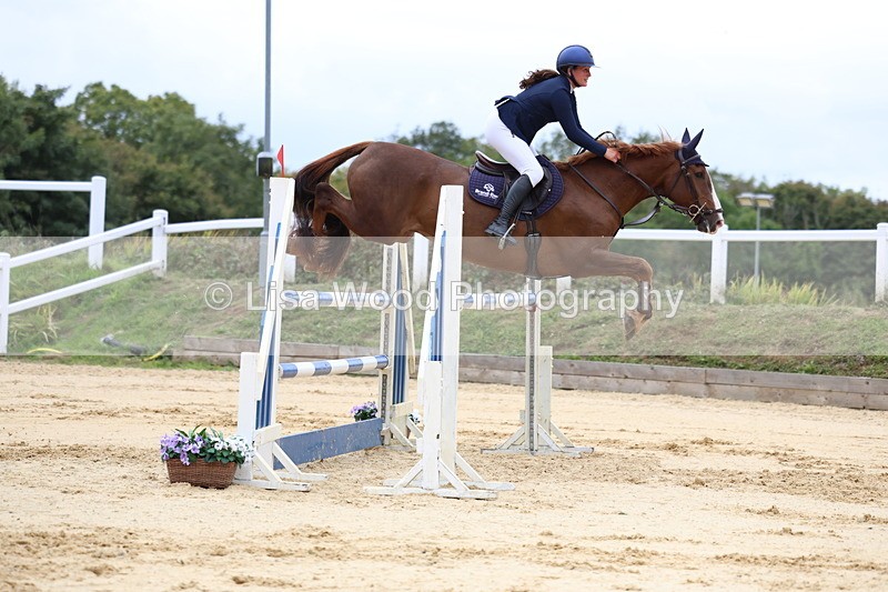 3E7A3351 - Class 9: Senior Foxhunter/1.20 open