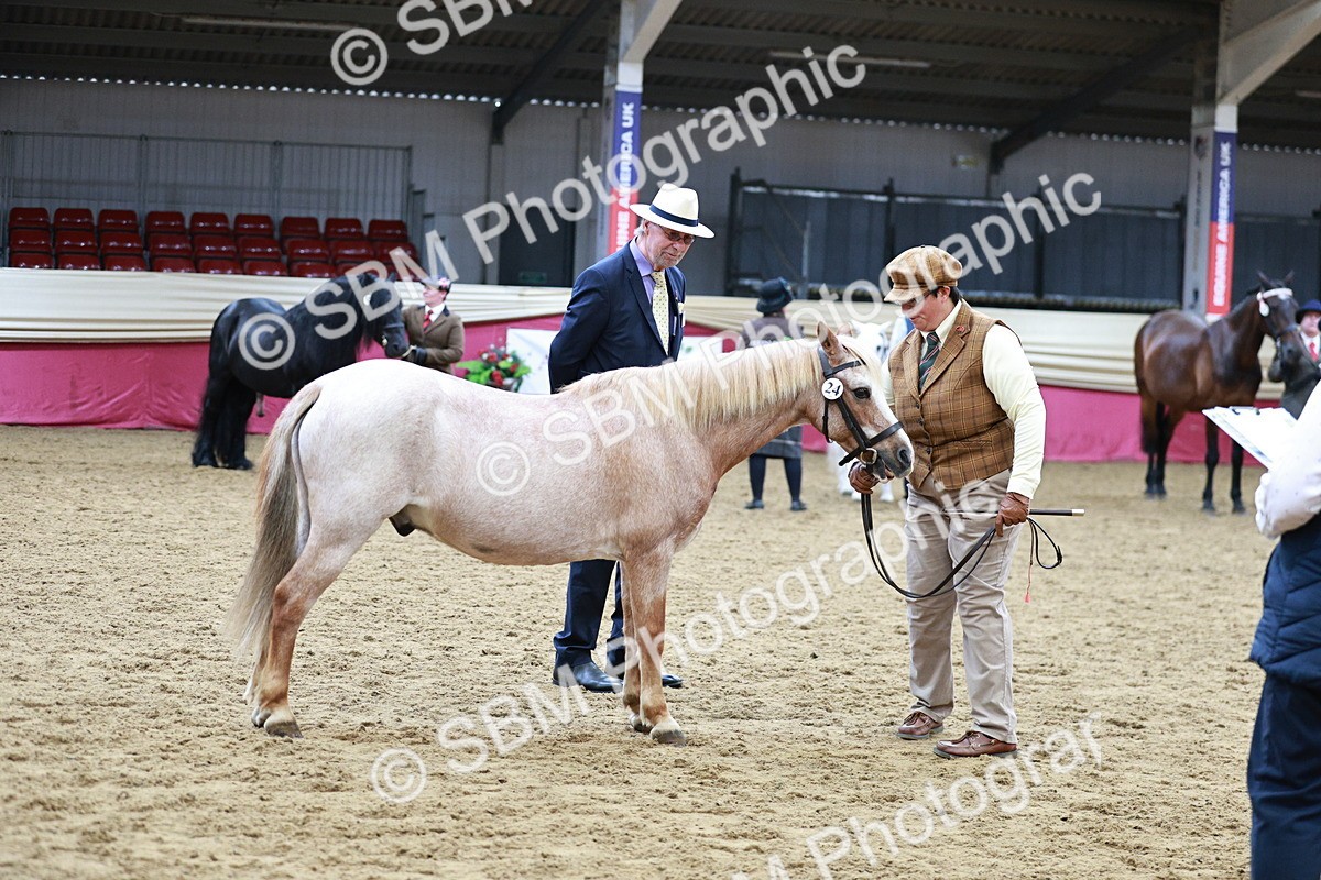 SBM_00960 - Class 2A - Area IH Veteran