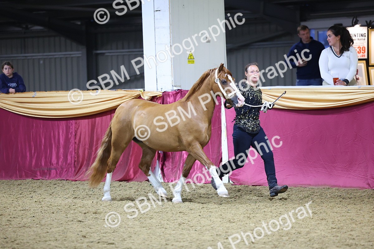 0B8A4399 - Class N M&M Champ