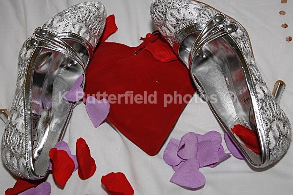 145 - Sandra and Darren mc Grath wedding