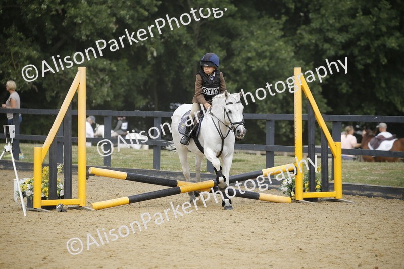 20250622-3682 - 50cm