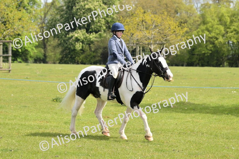 20260426-2326 - Class 20 - Beginner Working Hunter