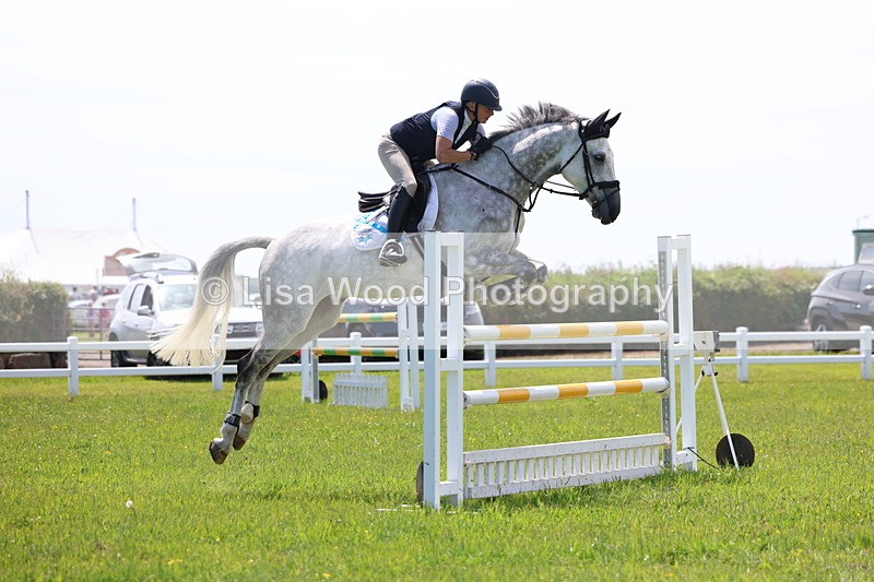 3E7A1329 - Class 12: Senior Foxhunter/1.20 open