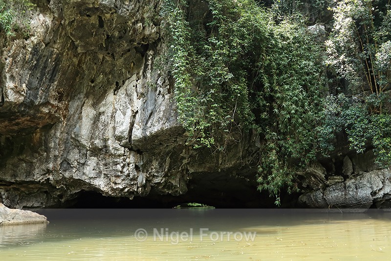 Tam Coc cave, Ninh Binh, Vietnam - Vietnam