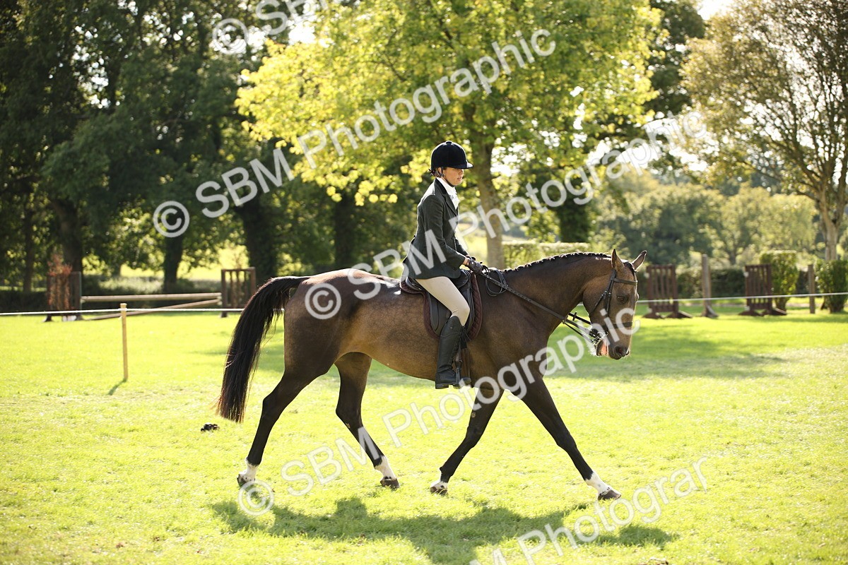 SBM_50060 - S26 - Young Veteran - Ridden