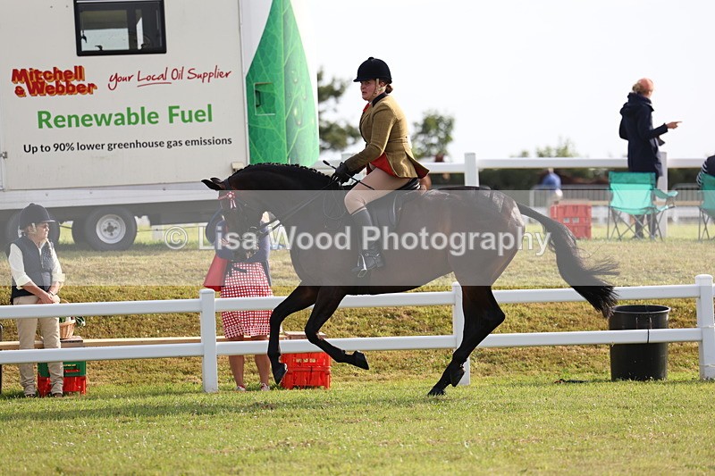 3E7A7741 - Class 1: Rising Star Small Hack/Riding Horses