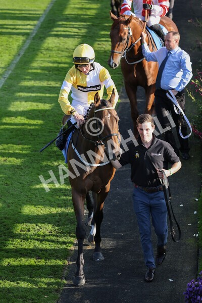 yr08102021r5-10 - Race 5 4.20pm Copper Knight - Winning Most Horse At York Handicap