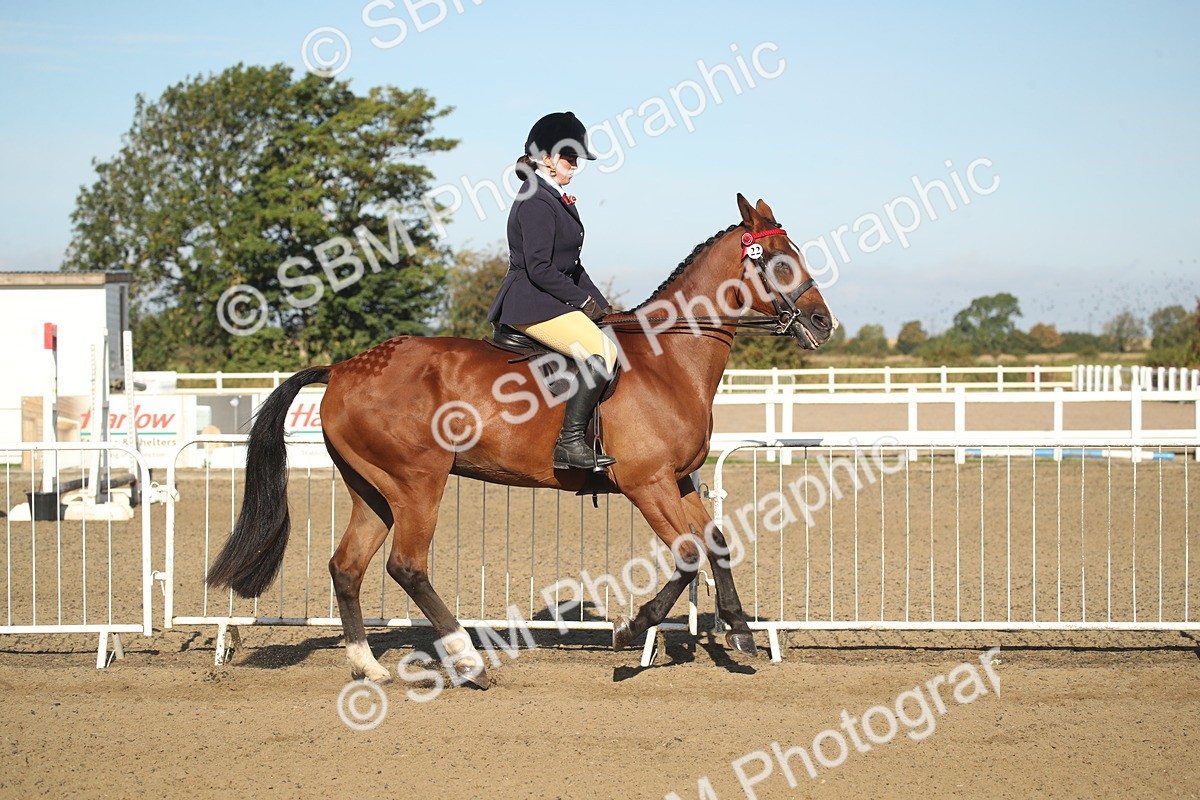 SBM_11299 - Class 501 -Riding Club Pony