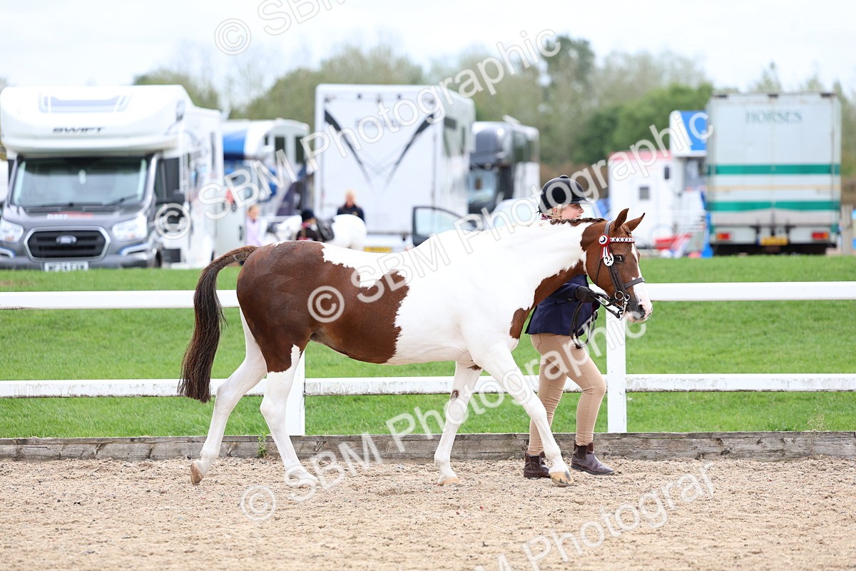 SBM_05816 - Class 29 - IH Veteran Pony