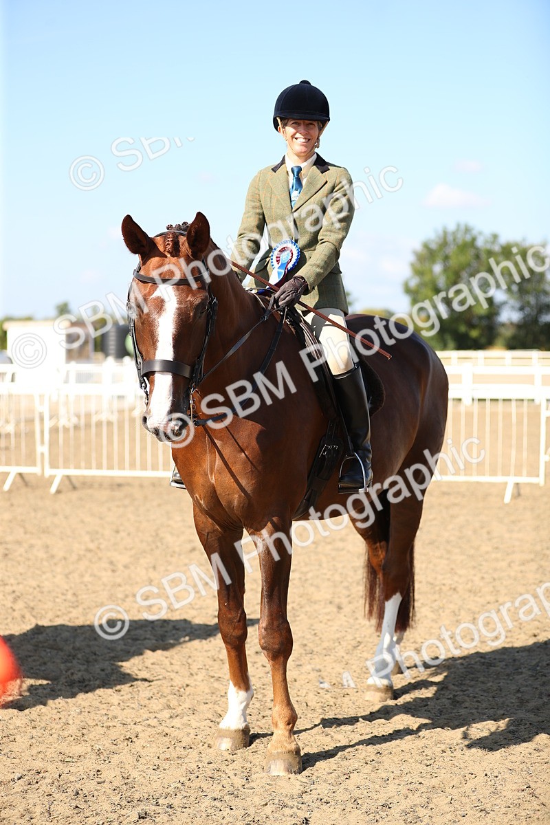 SBM_02374 - Class 43 Ridden Competition Horse/Pony