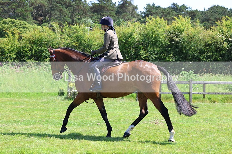 3E7A8073 - Working Hunter Championship