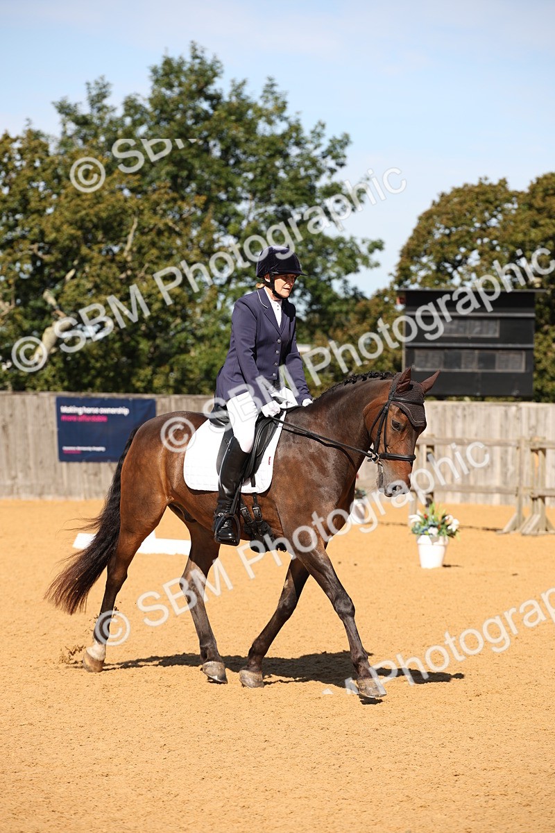 SBM_21610 - D5 - Small Tour Championship - Intro C