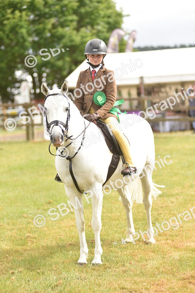 SBM_12073 - Class 110-112 - LIHS BSPS Performance Pones