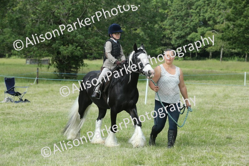 20260614-0186 - Class 1 - 30cm Lead Rein