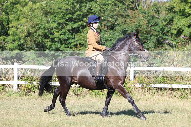 3E7A5493 - Class 3: Working Hunter 70cm