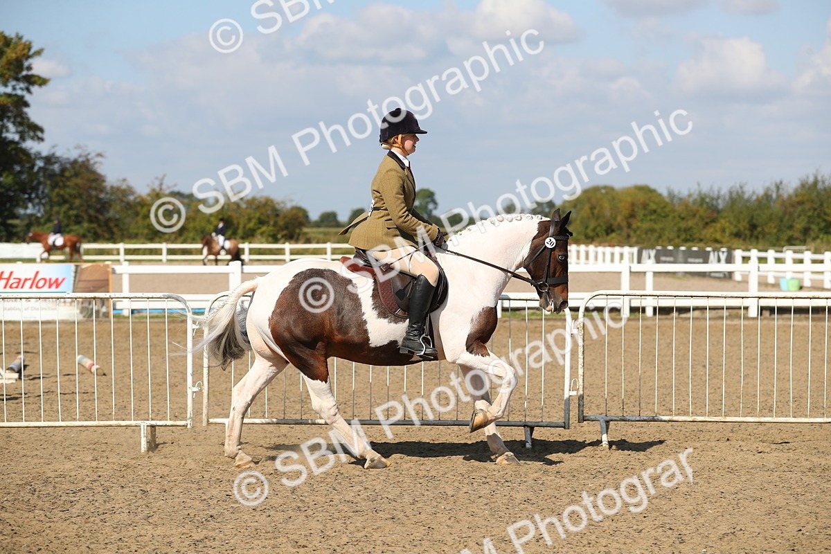 SBM_03129 - Class 44 Riding Club Horse/ Pony