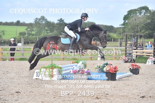 BPP_2439 - DERBY CLASS 7 - 80CM