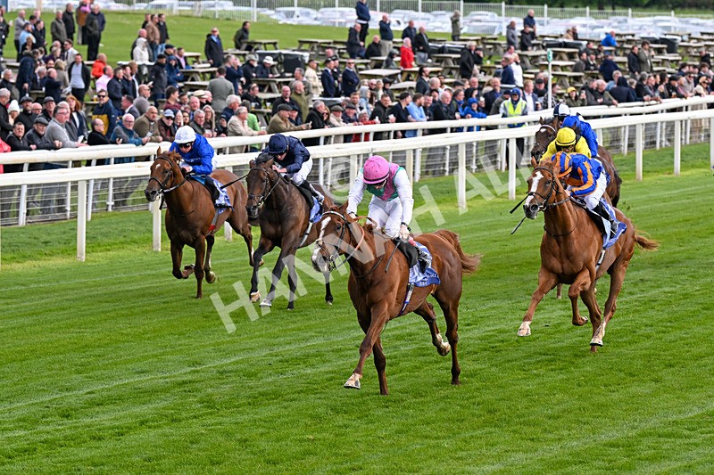 140526-Race 5-Item-0263 - Race 5 4.05pm Al Basti Equiworld Dubai Dante Stakes