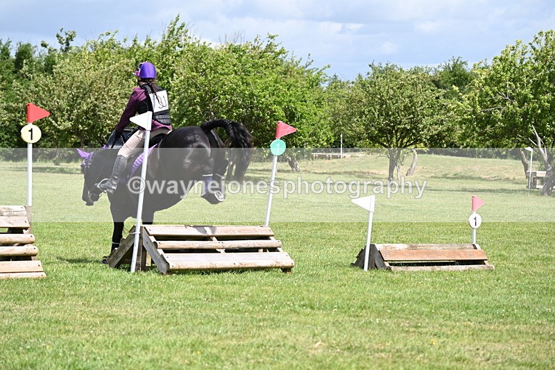 WJ6_3295 - Class 4 60cm