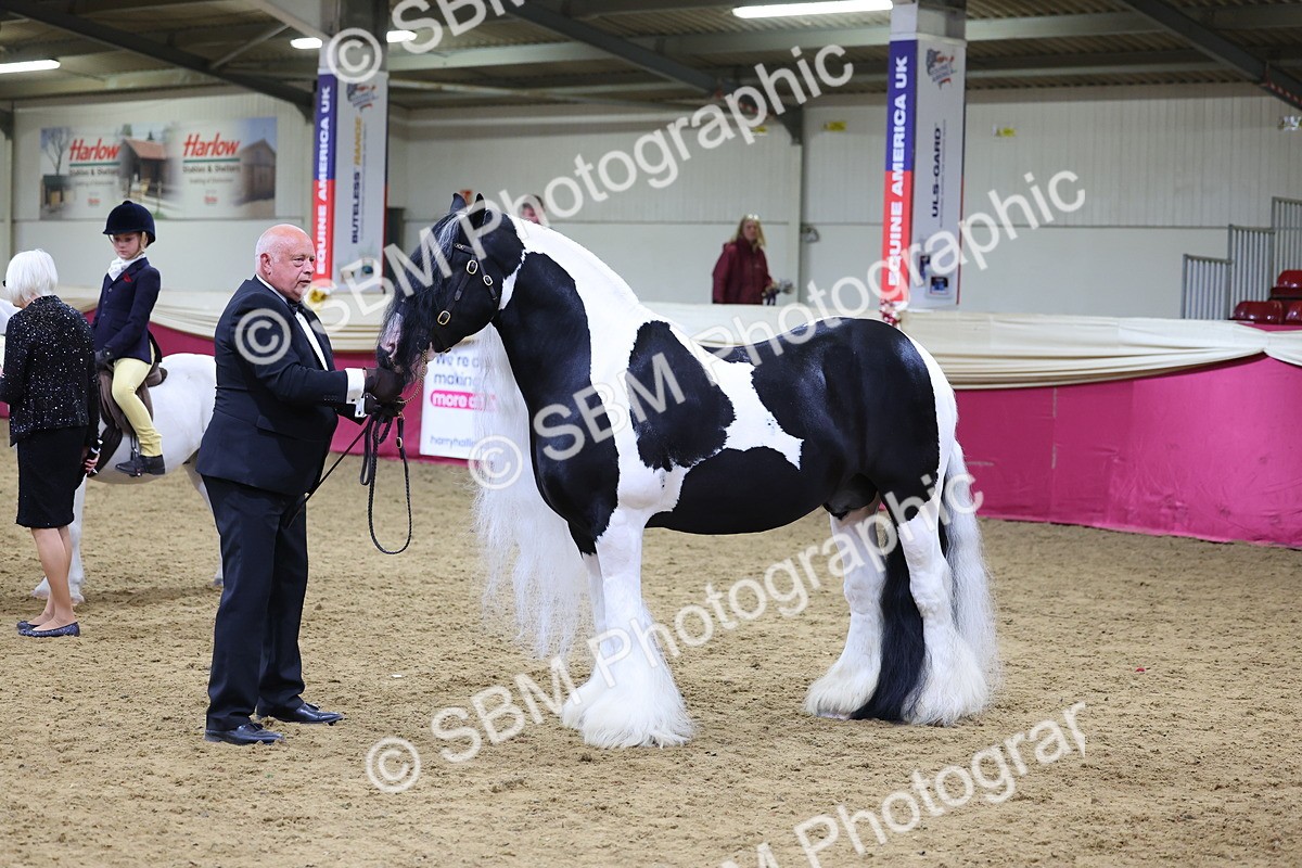 SBM_18651 - Class C Best Turned Out Champ