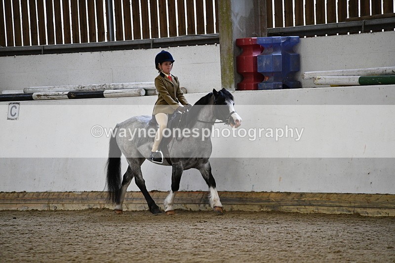 WJ5_6511 - Class 10 Childs Pony