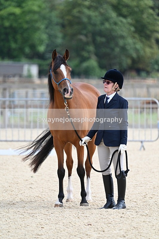 WJ7_1783 - In Hand