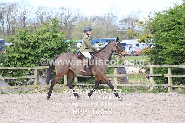 BPP_6853 - RING 1  (RIDDEN HORSES / IN HAND / VETERAN ETC)