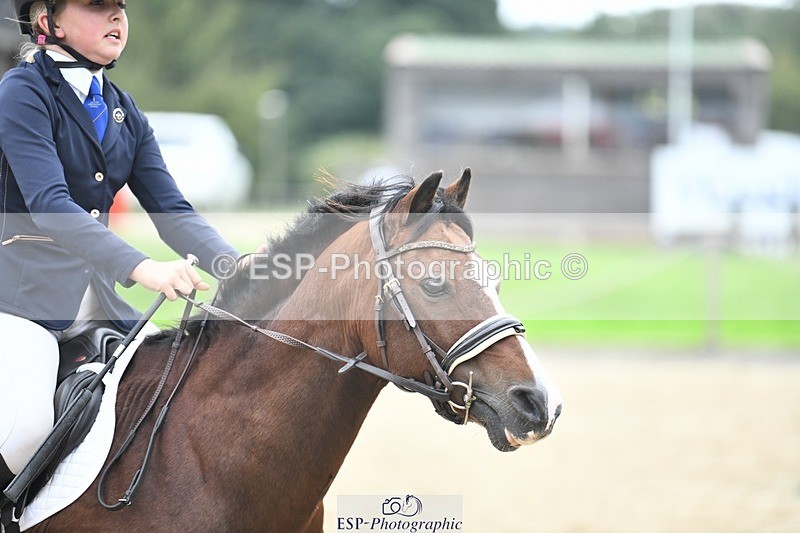 231001-145644-03056 - Cls 3 90cm