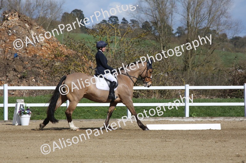 20260314-3957 - CT4 - Novice 1