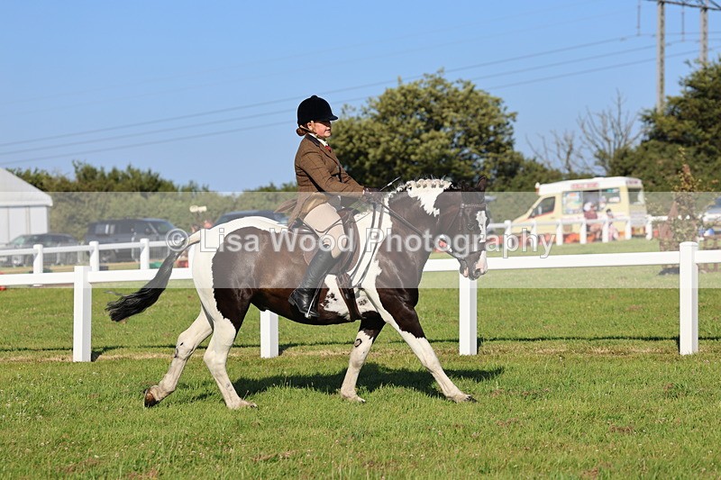 IMG_1374 - Class 28: Ridden Plaited Coloured Pony