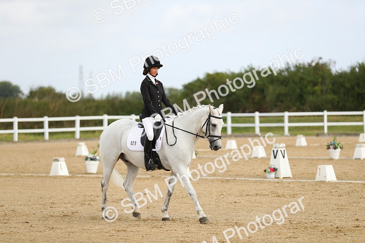 SBM_015520 - Class 13 - Novice 23 - 9.54-11.04