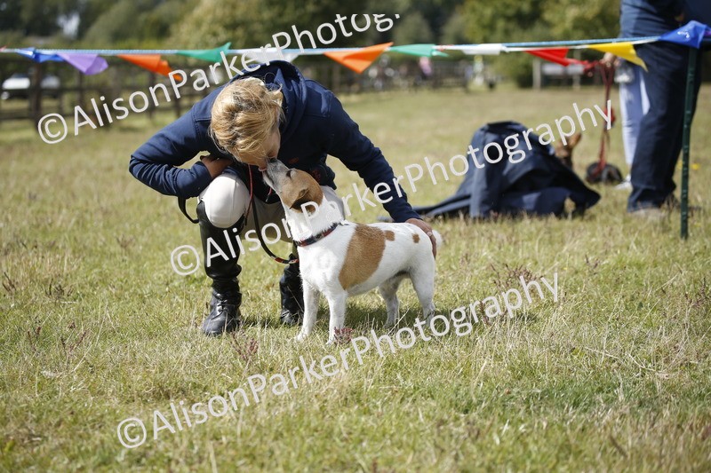 20250831-3671 - Dog Show