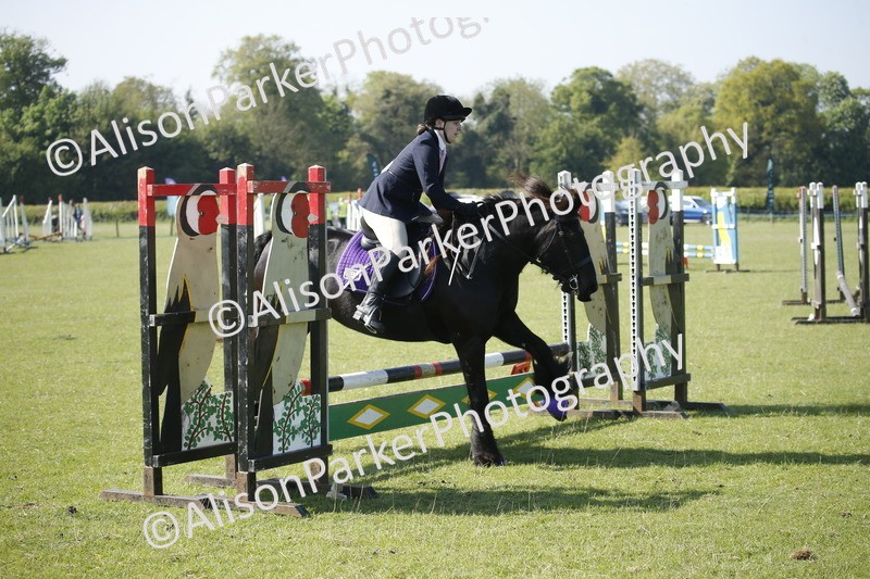 20250427-0392 - Class 12 - Rookie Jumping 40cm