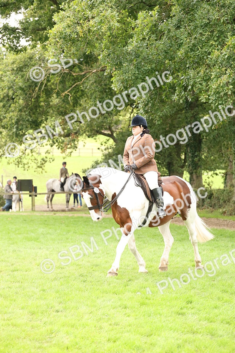 SBM_67248 - S67 - Piebald & Skewbald Horse Ridden