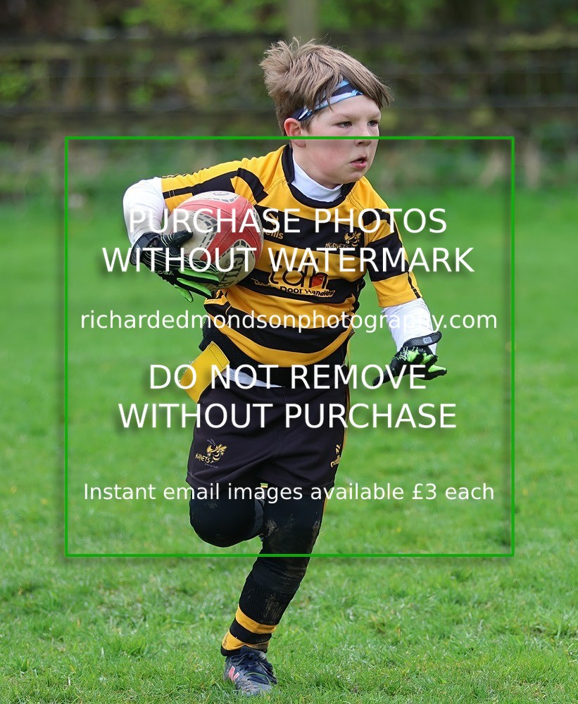 533A5408 - Kendal Rugby Under 7's (12/4/26)