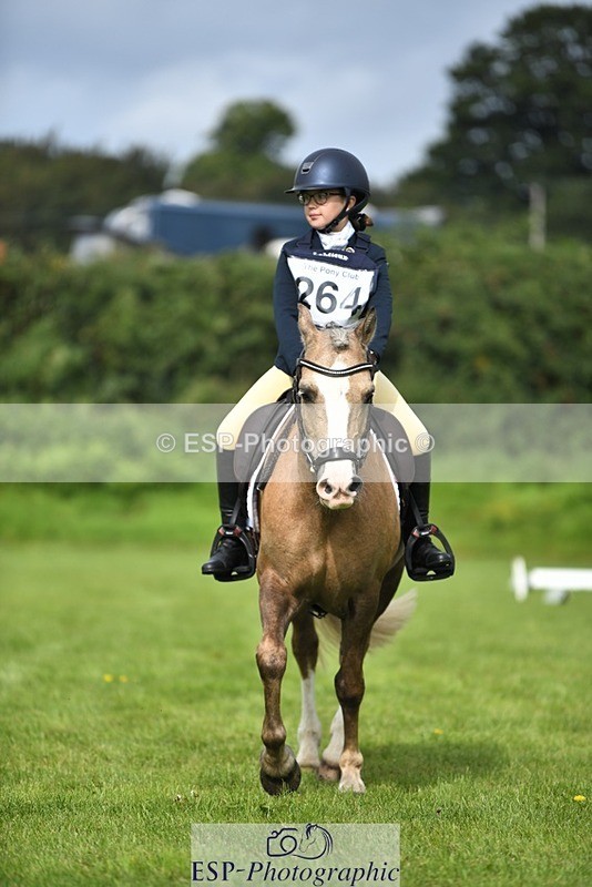 230826-102315-15458 - Sections C & D 10 to End