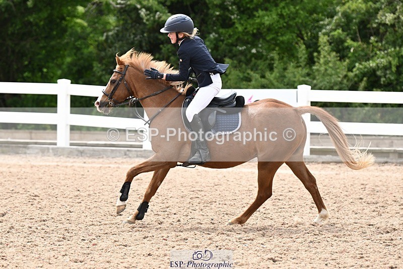 250504-141435-03533 - Cls 23 Stepping Stones