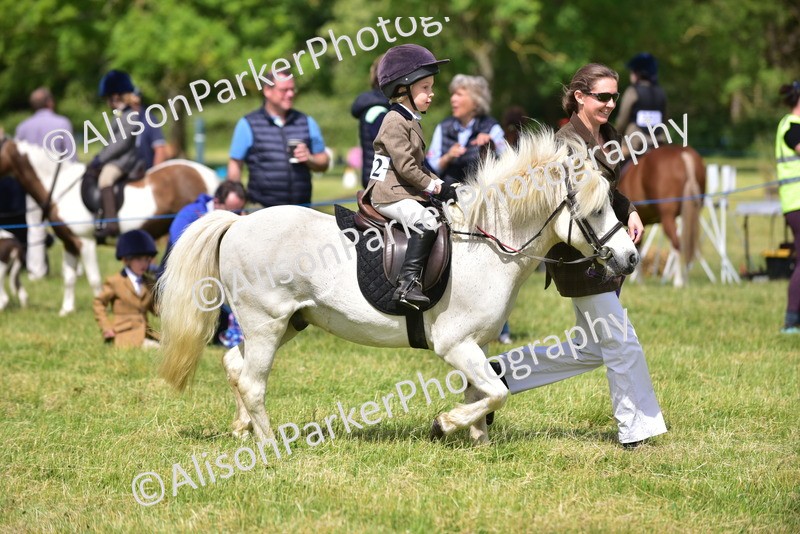 20260614-1146 - Class 11a - Lead Rein Pony (Unplaited)