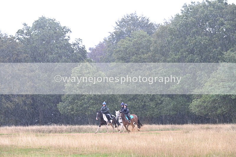 DSC_3037 - Time at Statue 12:59 to 13:49