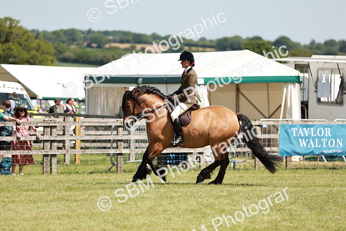 SBM_07105 - Class 26-30 - Mountain and Moorland Ridden