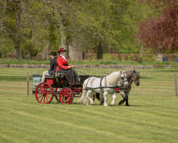 Attelage -931 - CIAT Glamis 2026
