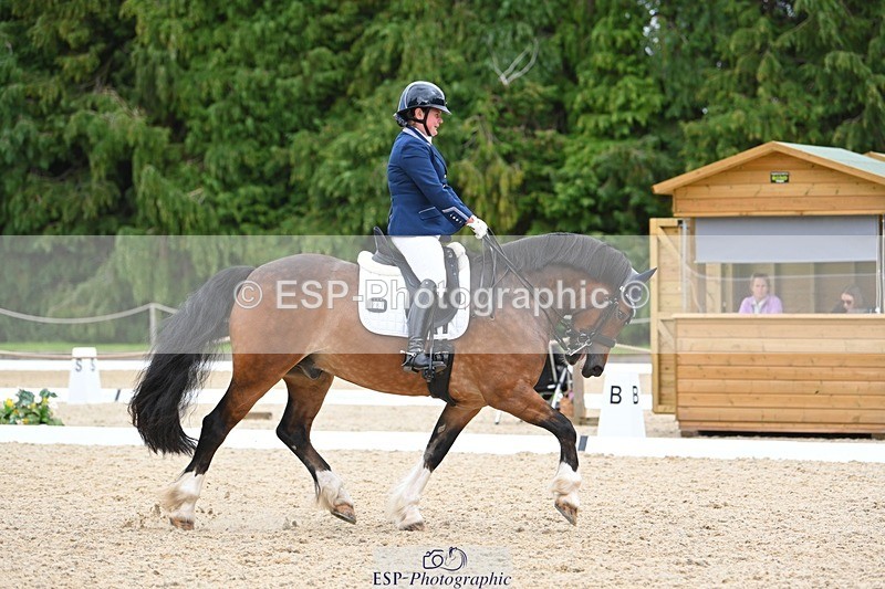 230813-142116-07739 - Cls 13 Medium Bronze 13.15 to End