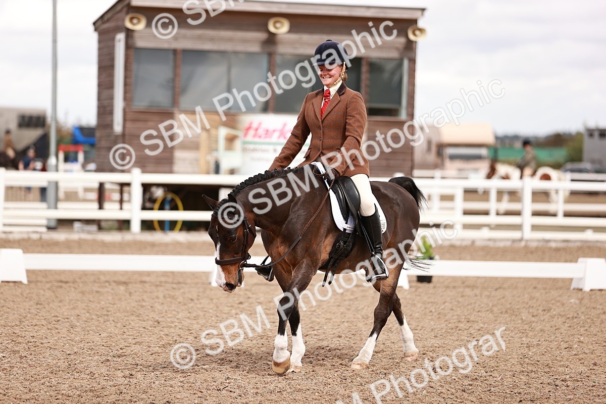 SBM_06252 - Class 37 - Novice 5