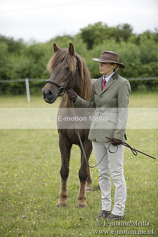 BVR160717-735 - Ring 2 BVRC Show 16/07/17