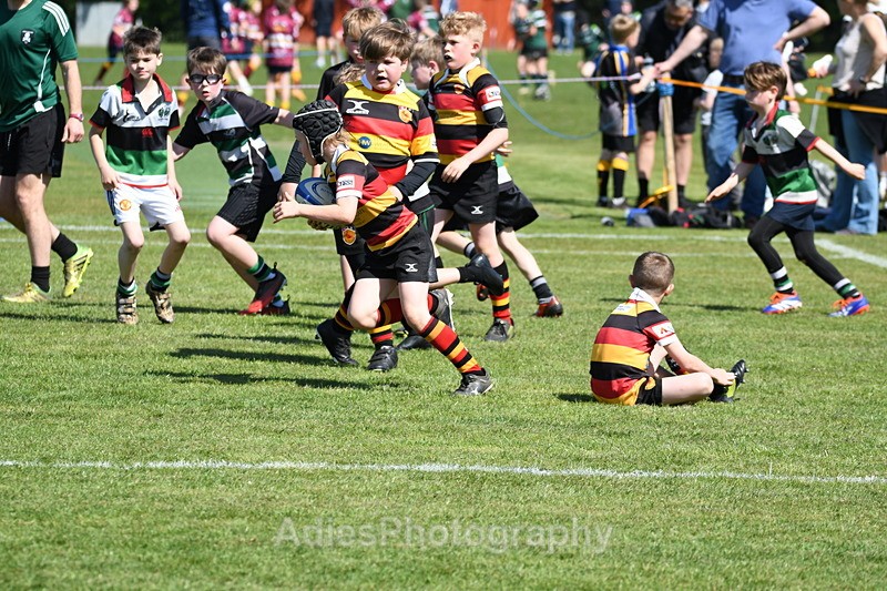  - Selby Rugby Festival 2025