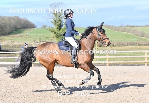 BPP_3461 - CLASS 4 Senior British Novice/ 90cm Open