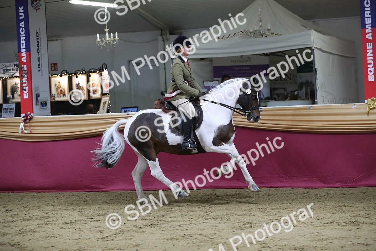 SBM_08515 - Class 11R Regional Ridden Veteran
